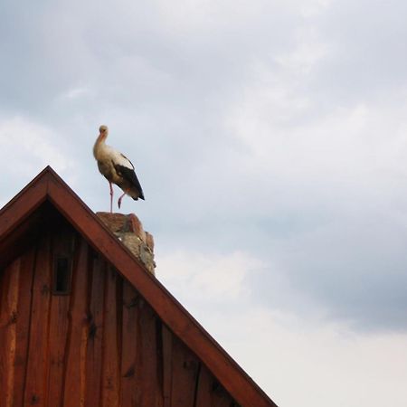 Pod Modrzewiem Pogorzelce Dış mekan fotoğraf